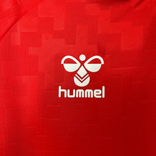Load image into Gallery viewer, Denmark Home Jersey 2024
