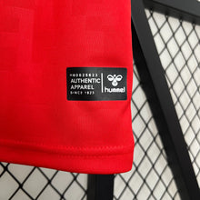 Load image into Gallery viewer, Denmark Home Jersey 2024
